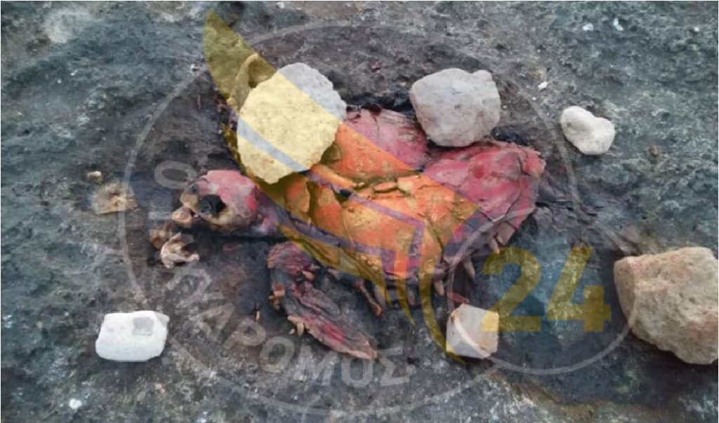 Πάφος: Νεκρή χελώνα στην περιοχή του Φάρου - ΦΩΤΟΓΡΑΦΙΑ