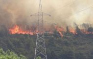 Κάτω Πύργος Τυλληριας: Ανεξέλεγκτη η φωτιά -  Επίγεια και εναέρια μέσα στη μάχη της κατάσβεσης