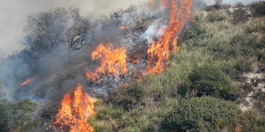 Πάφος: Πυρκαγιά στα Μαμώνια - Κατέκαψε τρία εκτάρια άγριας βλάστησης