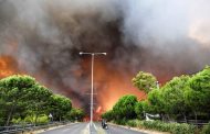 Πυρκαγιές Αττικής: Παγκύπριος Συντονισμός για στήριξη πληγέντων - Πληροφορίες για όσους θέλουν να βοηθήσουν