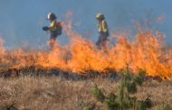 Πάνω Ακουρδάλια: Ξηρά χόρτα, αποκάλαμα και άγρια βλάστηση έκτασης 5 δεκαρίων κατέκαυσε πυρκαγιά
