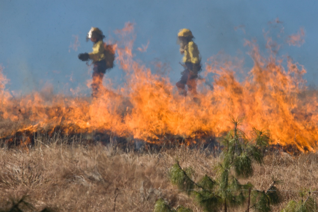 Πάφος: Σε κινητοποίηση η Πυροσβεστική - Πυρκαγιά κοντά στον υδατοφράκτη της Ευρέτου