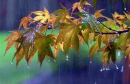 Καιρός: Φθινοπωρινό το σκηνικό με βροχές