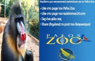 Η κλήρωση έγινε για το Pafos Zoo  – Ποιος/ποια είναι ο τυχερός/η;;;