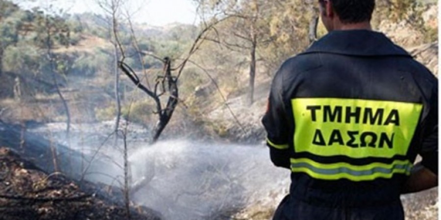 Τμήμα Δασών: Μεγάλος κίνδυνος για πυρκαγιές