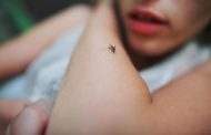 Πώς να προστατευτούμε από τα κουνούπια - Απλά μέτρα