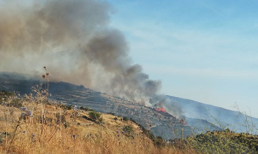 Υπό μερικό έλεγχο η φωτιά στην ορεινή Λεμεσό - Ενώπιον Δικαστηρίου 49χρονος Ε/κ