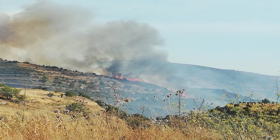 Πάφος: Υπό πλήρη έλεγχο δασική πυρκαγιά στην Κοινότητα Σταυροκόννου