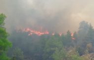 Φωτιά στο Κρατικό Δάσος Πέγειας - Κινητοποιήθηκαν και εναέρια μέσα