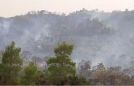 Υπό πλήρη έλεγχο πυρκαγιά από κεραυνό στο Εθνικό Δασικό Πάρκο Ακάμα