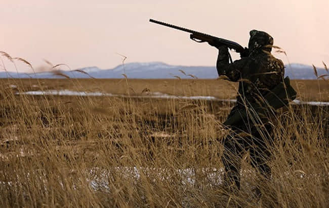 Η πρώτη θερινή κυνηγετική περίοδος 19 χιλιάδες κυνηγοί εξορμούν στην ύπαιθρο