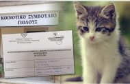 Κ.Σ Γιόλου: Δήλωση ενδιαφέροντος για συμμετοχή στο Παγκύπριο σχέδιο στειρώσεων αδέσποτων γατών – Φώτο
