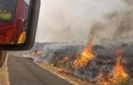 Πάφος: Υπό πλήρη έλεγχο δασική πυρκαγιά στην κοινότητα Κάτω Αρόδων