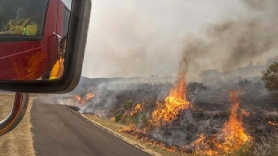 Πάφος:  Υπό πλήρη έλεγχο δασική πυρκαγιά σε περιοχή Δρούσειας και Κρήτου Τέρρα