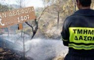 Τμήμα Δασών: Σε επίπεδο «Κόκκινου Συναγερμού» ο κίνδυνος πρόκλησης δασικών πυρκαγιών