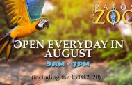 Pafos Zoo: Ανοικτό καθημερινά όλο τον Αύγουστο