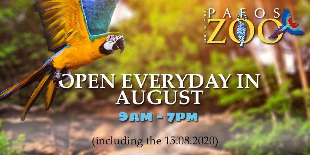 Pafos Zoo: Ανοικτό καθημερινά όλο τον Αύγουστο