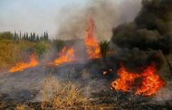 ΕΚΤΑΚΤΟ: Πυρκαγιά στη Χούλου - Επιχειρούν και εναέρια μέσα