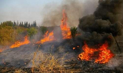 Πάφος: Υπό πλήρη έλεγχο δασική πυρκαγιά στο Προδρόμι
