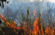 Πάφος: Κακόβουλη η πυρκαγιά στην περιοχή Βρέτσια εκτιμά η Αστυνομία