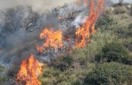 Πάφος: Σε εξέλιξη πυρκαγιά σε δύσβατη περιοχή μεταξύ Καλλέπειας-Λετύμπου