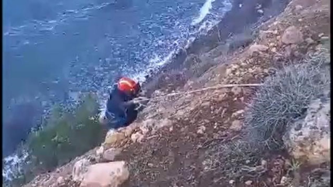 Πάφος: Πυροσβέστης έσωσε σκυλάκι από γκρεμό ύψους 30 μέτρων – Βίντεο