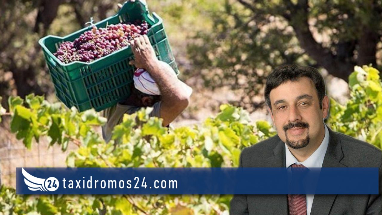 Χρύσανθος Σαββίδης: Να μην επαναληφθούν λάθη του παρελθόντος για αμπελουργικές καλλιέργειες