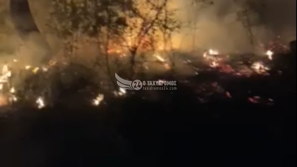 ΕΚΑΚΤΟ: Δεν λένε να κοπάσουν οι πυρκαγιές στην Πάφο (ΒΙΝΤΕΟ)