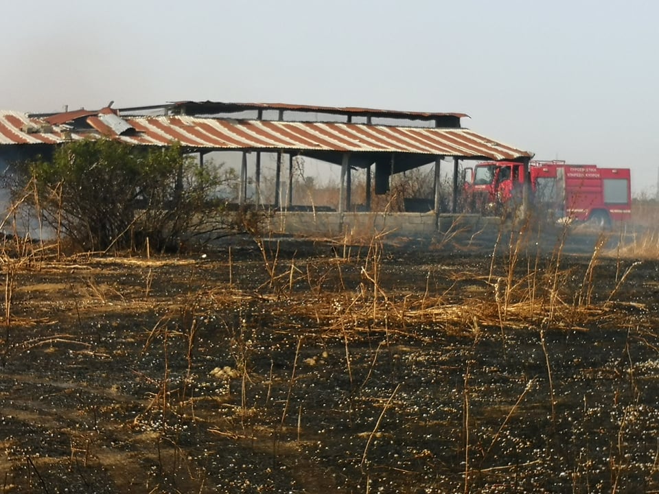 Πάφος: Φωτιά σε κτηνοτροφικό υποστατικό, κάηκαν 20 νεογέννητα αρνιά