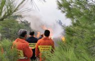 Πάφος: Υπό πλήρη έλεγχο δασική πυρκαγιά στην κοινότητα Φάσλι