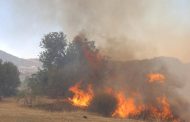 Υπό πλήρη έλεγχο τέθηκε δασική πυρκαγιά στην κοινότητα Αναρίτας