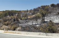 Πάφος : Ελεύθερος χωρίς να κατηγορηθεί ο 15χρονος για την φωτιά σε φυτείες στις περιοχές Κελοκέδαρα – Τραχυπέδουλα