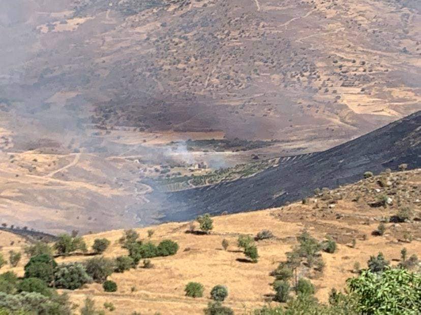 Πάφος: Μαίνεται η πυρκαγιά στην Πενταλιά - Κατακαίει άγρια βλάστηση