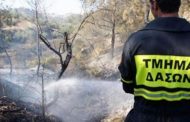 Τμήμα Δασών: Σε «κόκκινο συναγερμό» και αύριο για πυρκαγιές