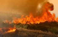 Προδρόμι: Πυρκαγιά έθεσε σε κινητοποίηση την Πυροσβεστική