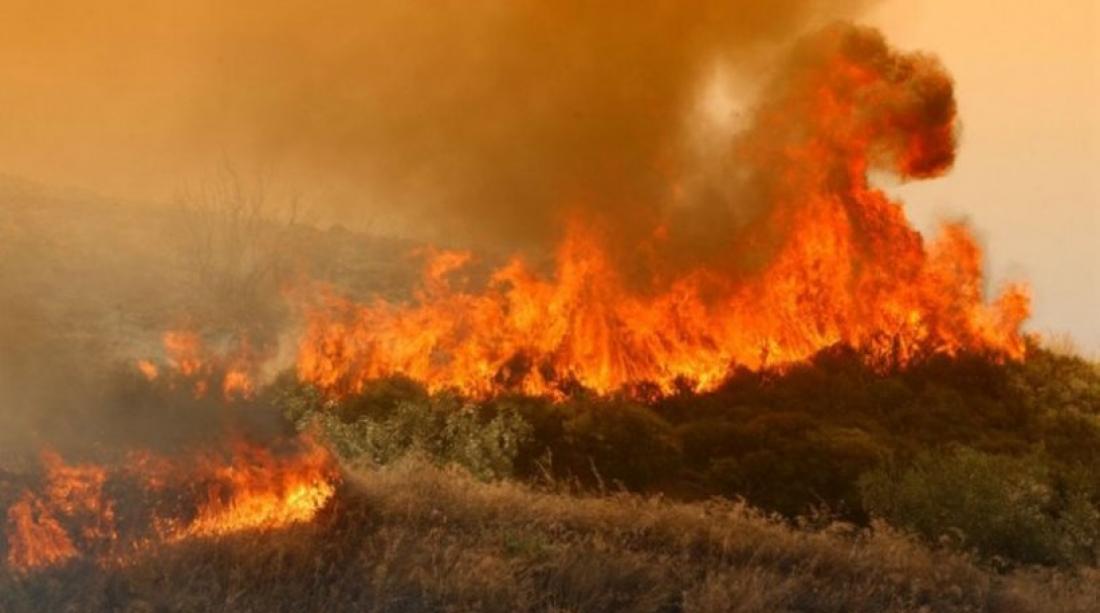 Προδρόμι: Πυρκαγιά έθεσε σε κινητοποίηση την Πυροσβεστική
