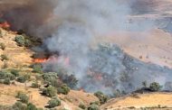Πάφος: Υπό πλήρη έλεγχο δασική πυρκαγιά στην Τρεμιθούσα