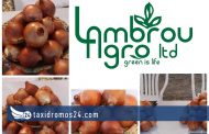 L.Lambrou Agro LTD: Επιτυχημένη η έκθεση εμπορικών καλοκαιρινών κρεμμυδιών