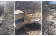 Απόγνωση μελισσοκόμου μετά την καταστροφή που υπέστη το μελισσοκομείο του από τις φωτιές