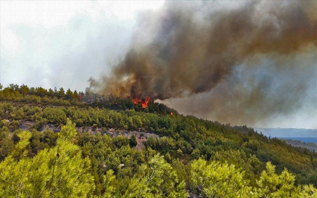 Πάφος: Υπό πλήρη έλεγχο δασική πυρκαγιά σε περιοχή της κοινότητας Ίνειας