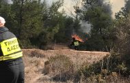 Πάφος: Υπό πλήρη έλεγχο δασική πυρκαγιά σε περιοχή της κοινότητας Δρούσειας