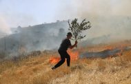 Πάφος: Και δεύτερη πυρκαγιά στην Ίνεια τέθηκε υπό έλεγχο