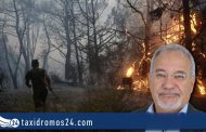 Αντώνης Τρακκίδης: Σύνηθες φαινόμενο πλέον οι πυρκαγιές