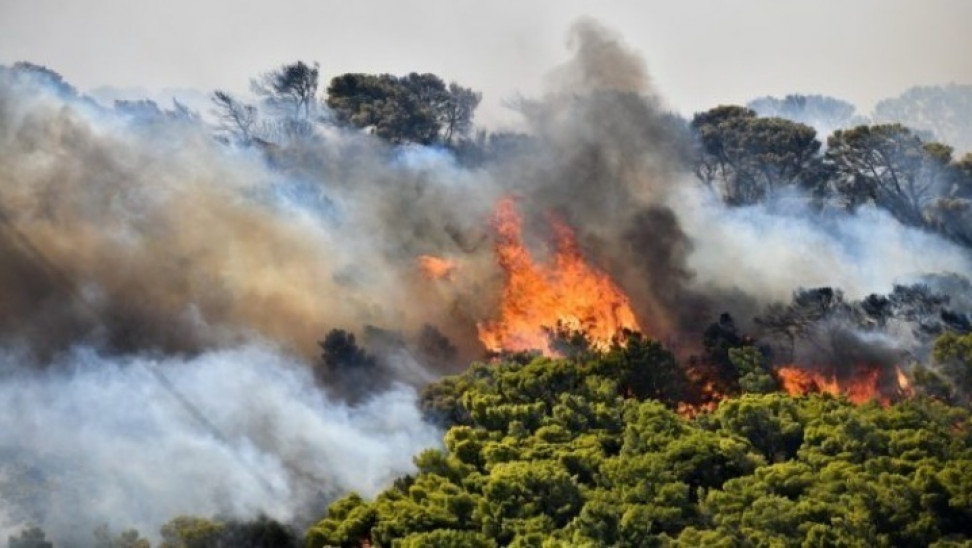 Πάφος: Υπό πλήρη έλεγχο νέα δασική πυρκαγιά στην Ίνεια