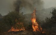 Τμ. Δασών: Τέθηκε υπό έλεγχο η πυρκαγιά στην Πέγεια