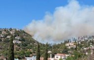 Τμήμα Γεωργίας: Θα δέχεται δηλώσεις για ζημιές που προκάλεσε η πυρκαγιά σε Κοίλη και Τάλα στις 26 Ιουνίου 2021
