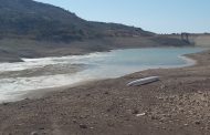 Χρύσανθος Σαββίδης: Σε ανησυχητικά επίπεδα η κατάσταση στην κοιλάδα του Μαυροκόλυμπου - Φώτο