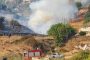 Πάφος: Υπό πλήρη έλεγχο δασική πυρκαγιά στο Νέο Χωριό Πάφου