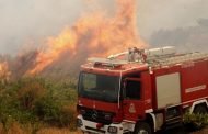 Κατασβέστηκε πυρκαγιά στην Ίνεια προτού πάρει διατάσεις
