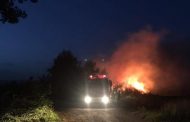 Υπό πλήρη έλεγχο δασική πυρκαγιά στην κοινότητα Ανδρολύκου